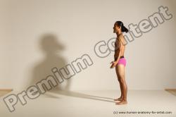 Elmer - Traditional Korean Art